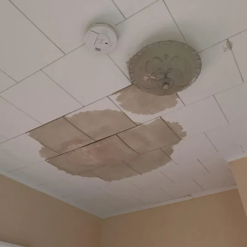 Ceiling Water Damage Repair in La Plena, PR