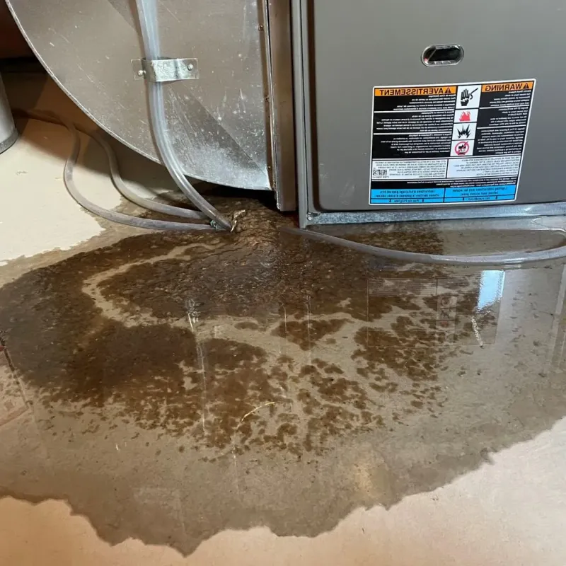 Pipe Burst and Leak Restoration in La Plena, PR