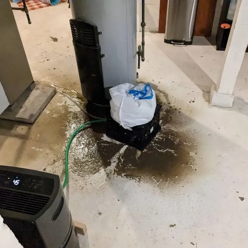 Sewage Backup Cleanup Service in La Plena, PR